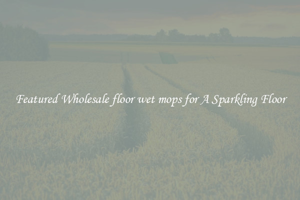 Featured Wholesale floor wet mops for A Sparkling Floor