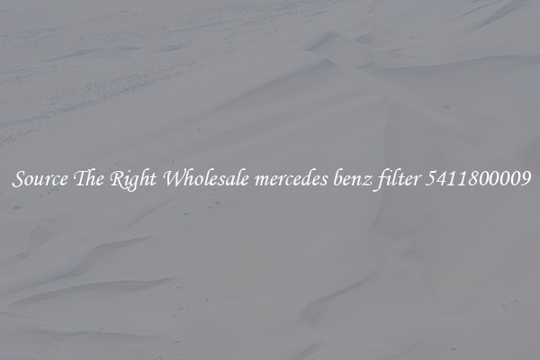 Source The Right Wholesale mercedes benz filter 5411800009