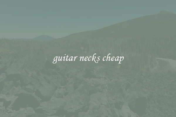 guitar necks cheap