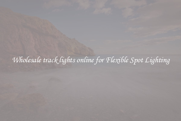 Wholesale track lights online for Flexible Spot Lighting