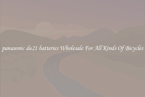 panasonic du21 batteries Wholesale For All Kinds Of Bicycles
