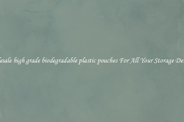 Wholesale high grade biodegradable plastic pouches For All Your Storage Demands