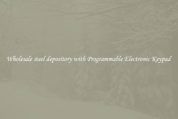 Wholesale steel depository with Programmable Electronic Keypad 