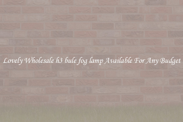 Lovely Wholesale h3 bule fog lamp Available For Any Budget