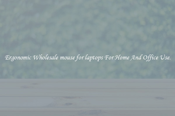 Ergonomic Wholesale mouse for laptops For Home And Office Use.