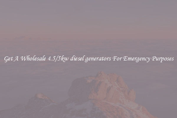 Get A Wholesale 4.5/5kw diesel generators For Emergency Purposes
