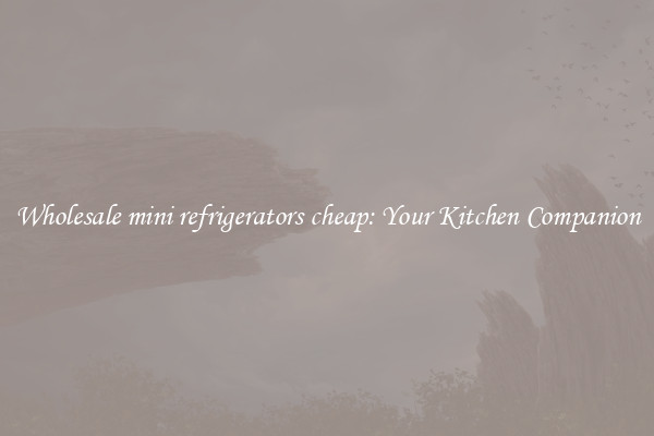 Wholesale mini refrigerators cheap: Your Kitchen Companion