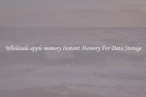 Wholesale apple memory Instant Memory For Data Storage