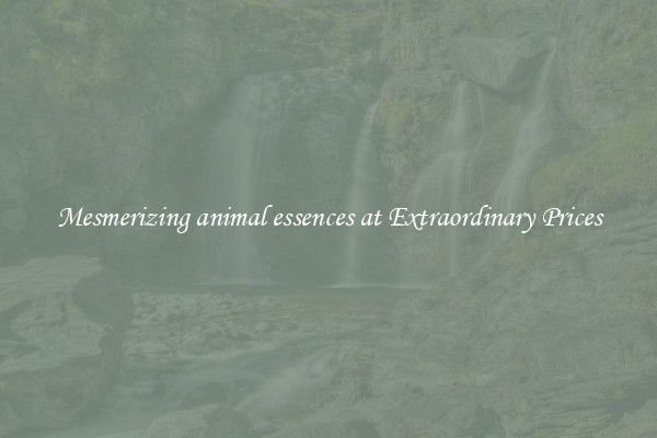 Mesmerizing animal essences at Extraordinary Prices