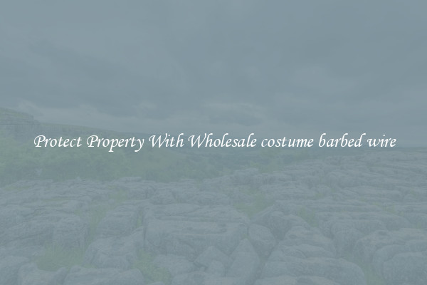 Protect Property With Wholesale costume barbed wire
