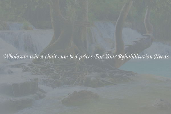 Wholesale wheel chair cum bed prices For Your Rehabilitation Needs