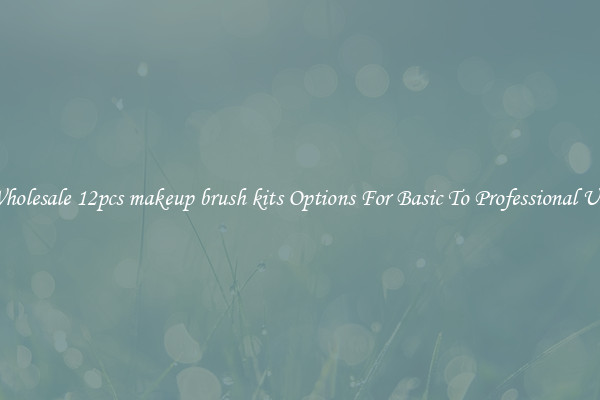Wholesale 12pcs makeup brush kits Options For Basic To Professional Use