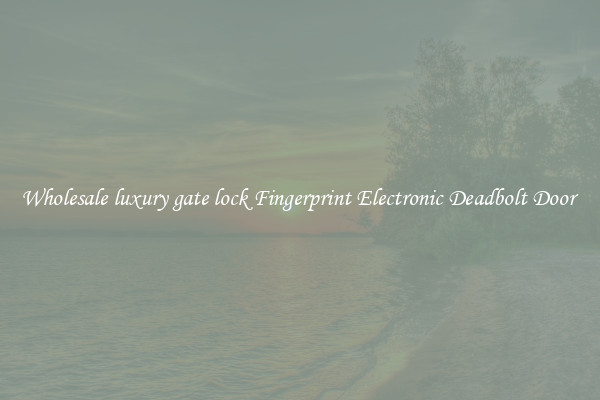 Wholesale luxury gate lock Fingerprint Electronic Deadbolt Door 