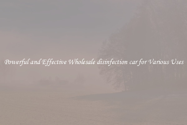 Powerful and Effective Wholesale disinfection car for Various Uses