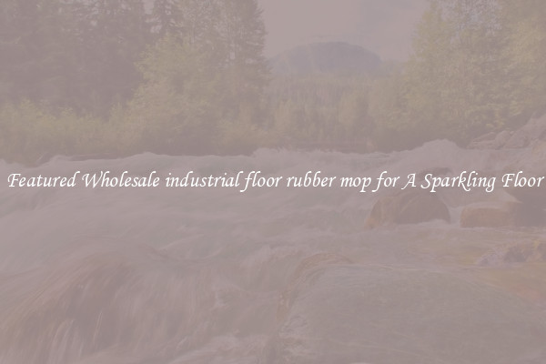 Featured Wholesale industrial floor rubber mop for A Sparkling Floor