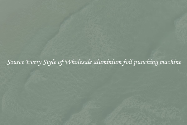 Source Every Style of Wholesale aluminium foil punching machine