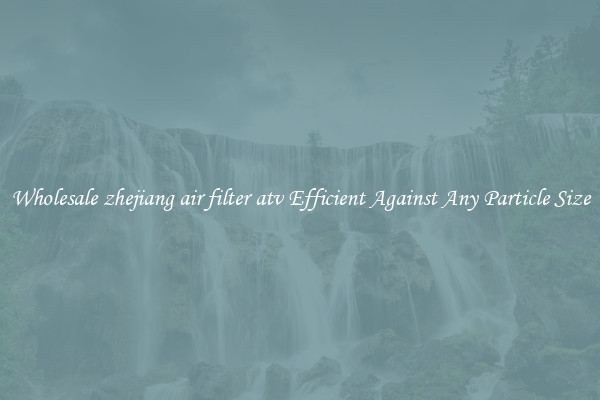 Wholesale zhejiang air filter atv Efficient Against Any Particle Size