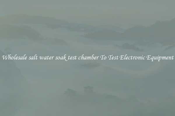 Wholesale salt water soak test chamber To Test Electronic Equipment