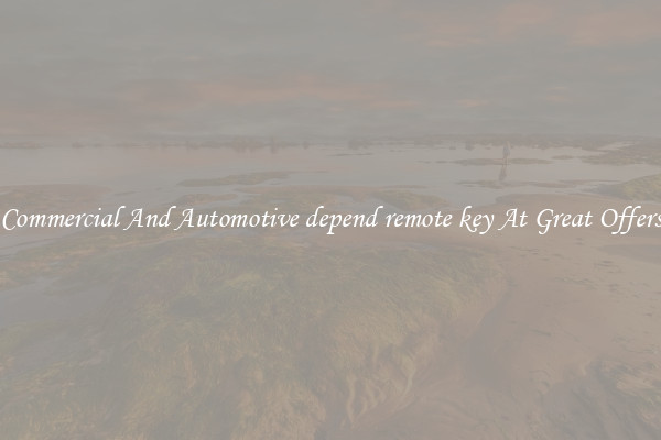 Commercial And Automotive depend remote key At Great Offers
