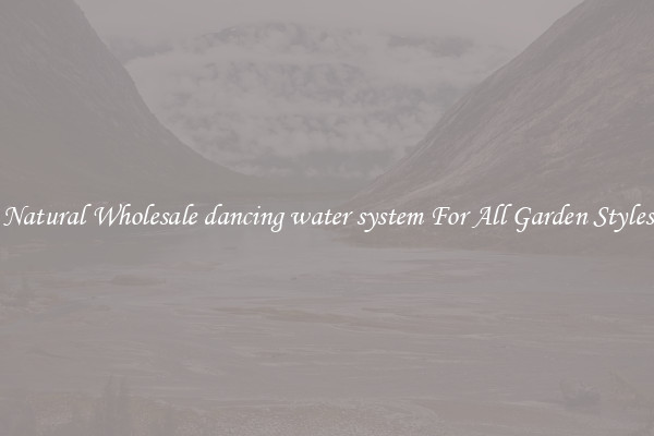 Natural Wholesale dancing water system For All Garden Styles