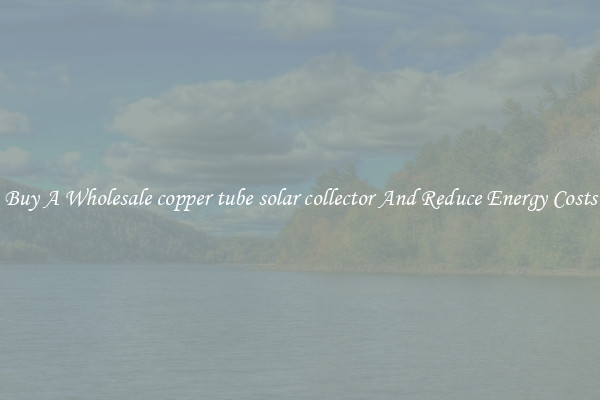 Buy A Wholesale copper tube solar collector And Reduce Energy Costs