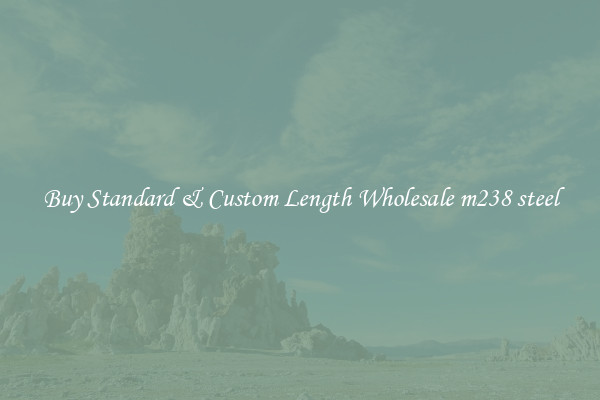 Buy Standard & Custom Length Wholesale m238 steel