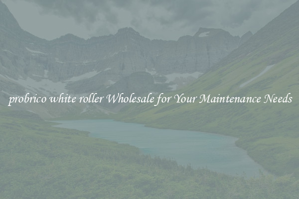 probrico white roller Wholesale for Your Maintenance Needs