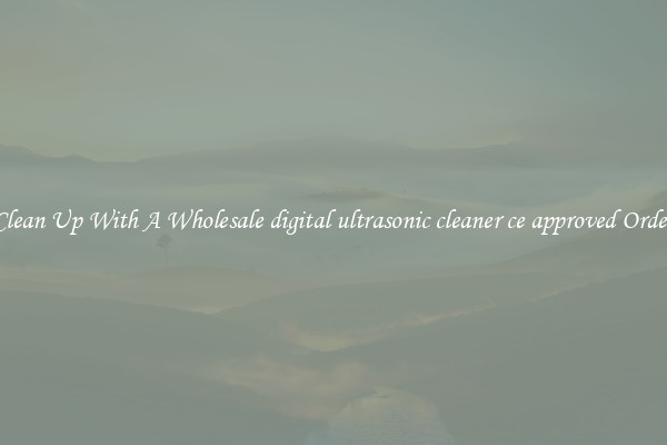 Clean Up With A Wholesale digital ultrasonic cleaner ce approved Order