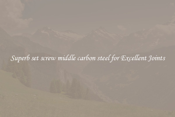 Superb set screw middle carbon steel for Excellent Joints