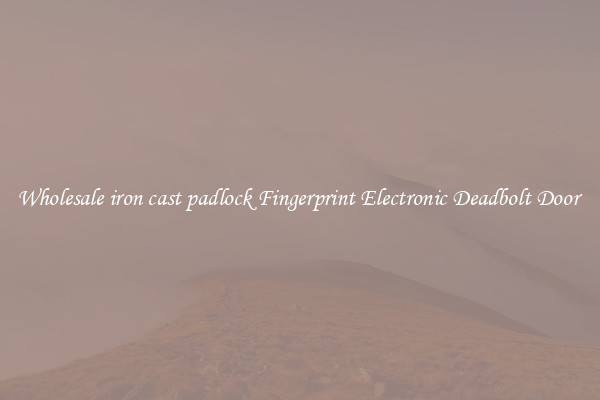 Wholesale iron cast padlock Fingerprint Electronic Deadbolt Door 