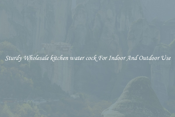 Sturdy Wholesale kitchen water cock For Indoor And Outdoor Use