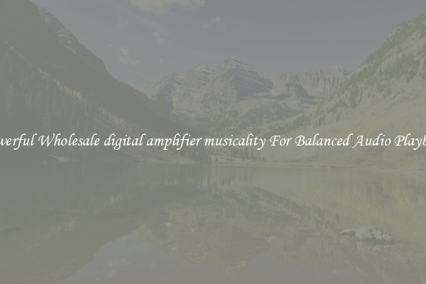 Powerful Wholesale digital amplifier musicality For Balanced Audio Playback