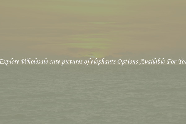 Explore Wholesale cute pictures of elephants Options Available For You