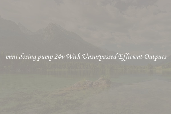 mini dosing pump 24v With Unsurpassed Efficient Outputs