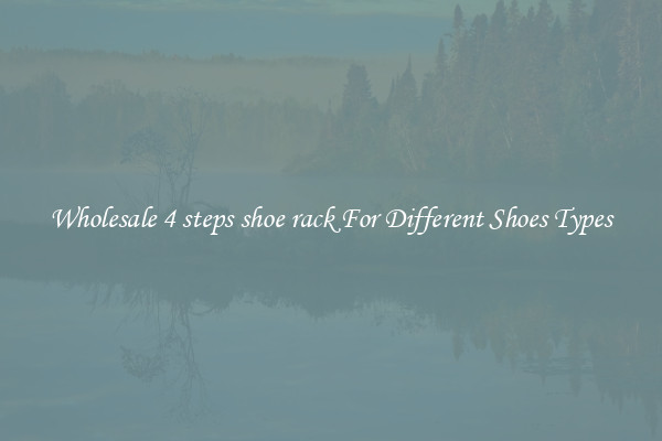 Wholesale 4 steps shoe rack For Different Shoes Types
