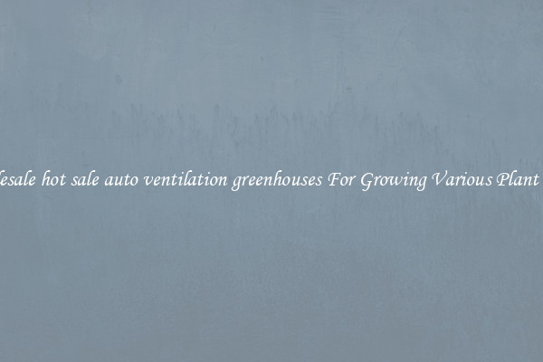 Wholesale hot sale auto ventilation greenhouses For Growing Various Plant Types