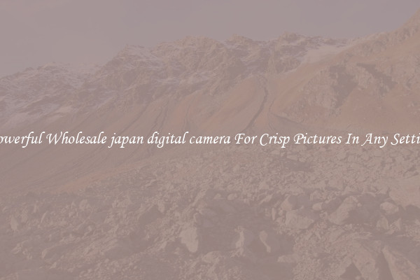 Powerful Wholesale japan digital camera For Crisp Pictures In Any Setting